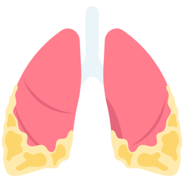 Cardiology