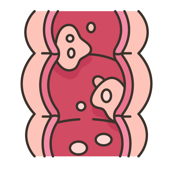 Cardiology