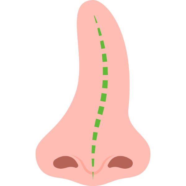 Cardiology
