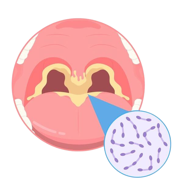 Cardiology