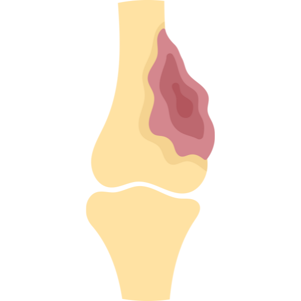 Cardiology