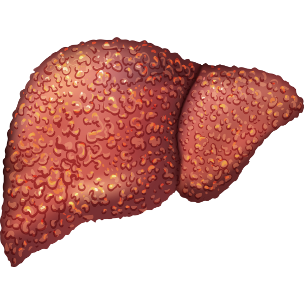Cardiology