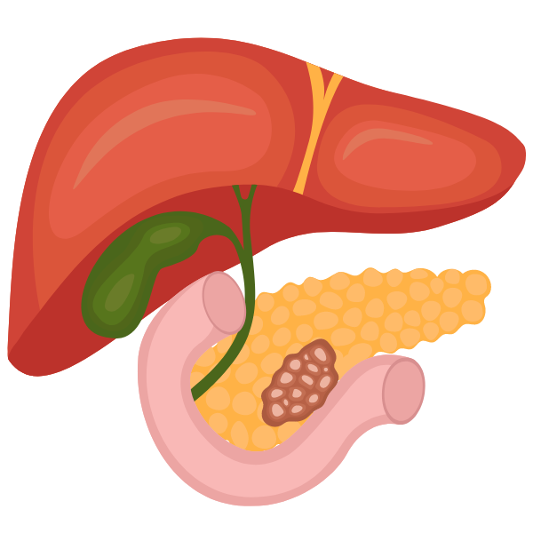 Cardiology