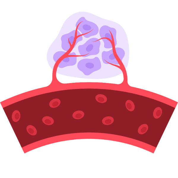 Cardiology