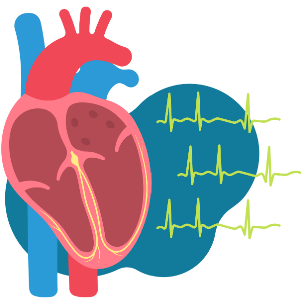 Cardiology