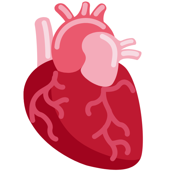 Cardiology