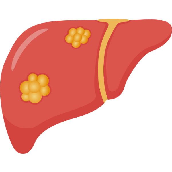 Cardiology
