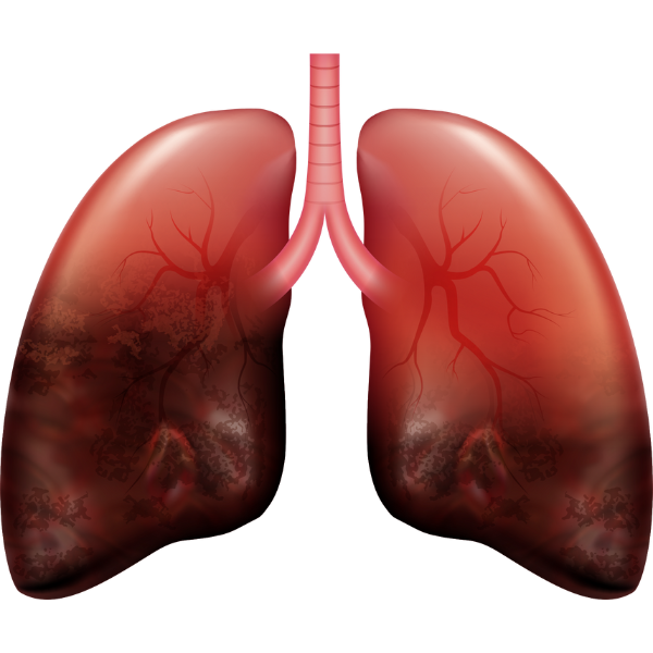 Cardiology
