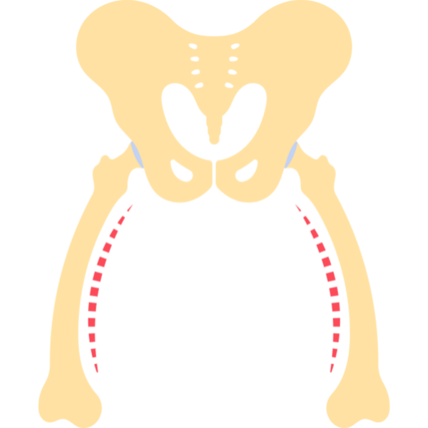 Cardiology