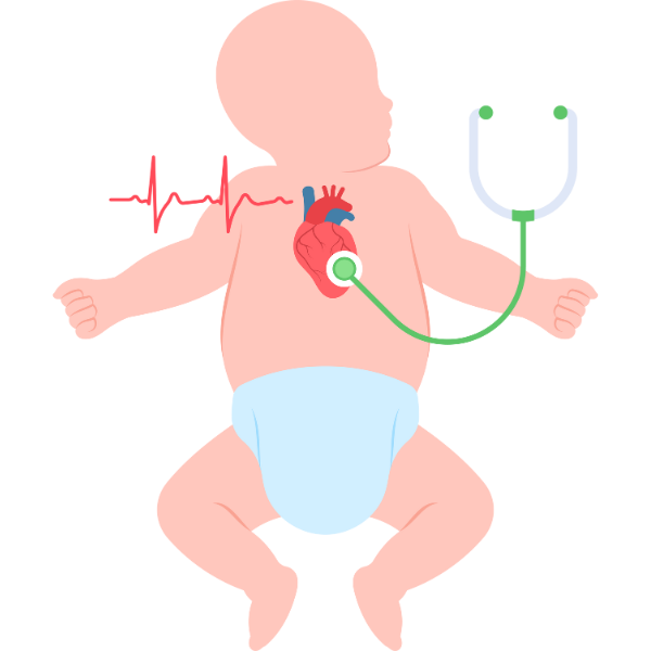 Cardiology