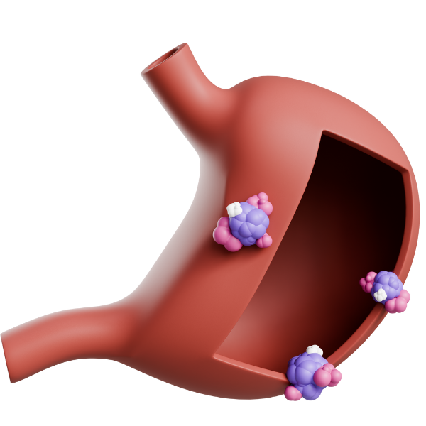 Cardiology