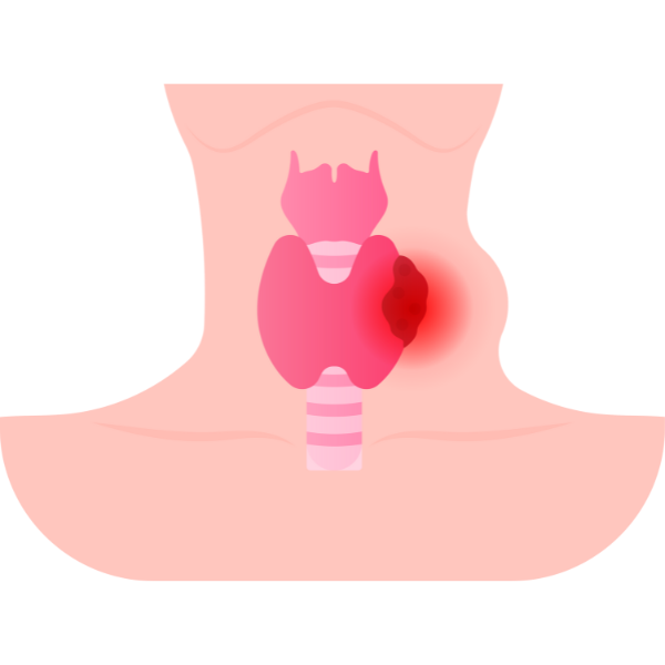 Cardiology