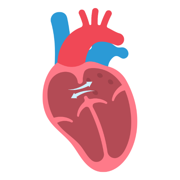 Cardiology
