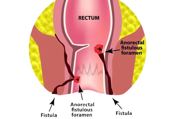 Cardiology