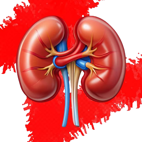 Cardiology
