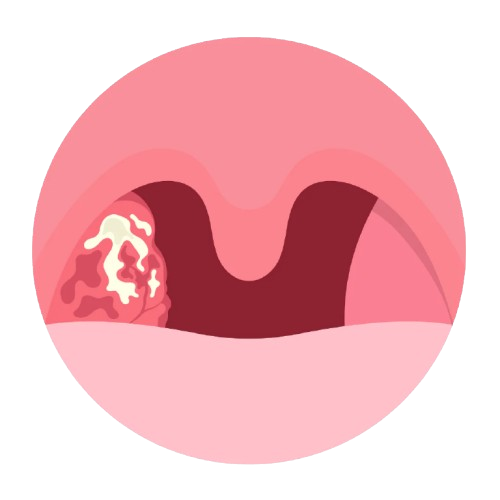 Cardiology