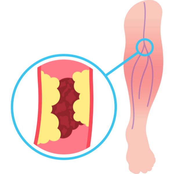 Cardiology