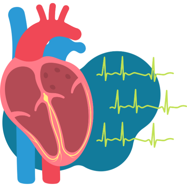 Cardiology