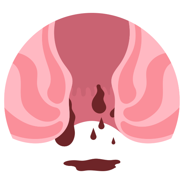 Cardiology
