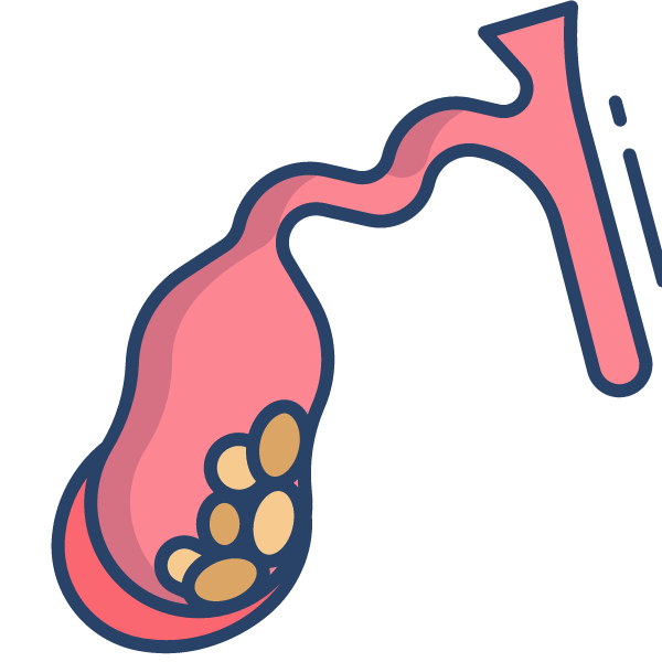 Cardiology