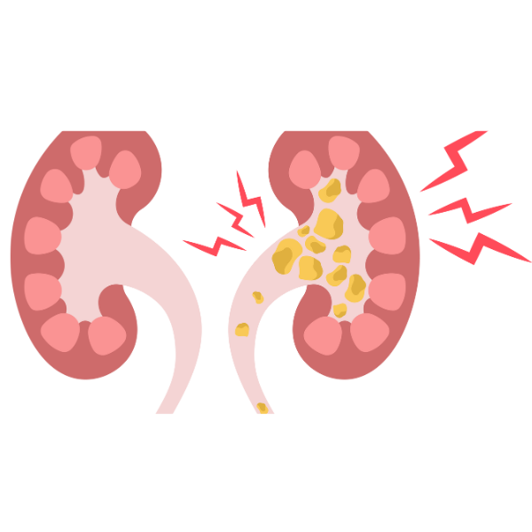Cardiology